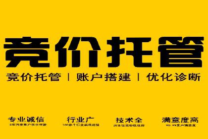百度SEO推广公司案例剖析：助力企业提升排名